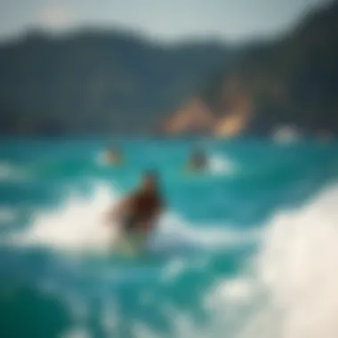 Magnificent An Inquiry into Oxybenzone in Sunscreen: Assessing the Risks and Impacts Magnificent An Inquiry into Oxybenzone in Sunscreen: Assessing the Risks and Impacts