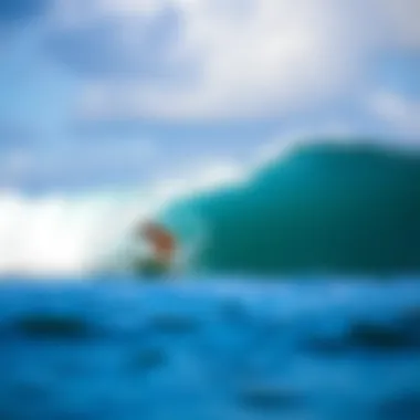 Magnificent Exploring Maui's Premier Surf Spots
