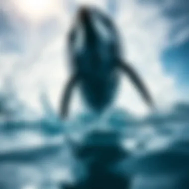 Magnificent Exploring the Significance of Dolphin Encounters: What It Means When Dolphins Swim Around You Magnificent Exploring the Significance of Dolphin Encounters: What It Means When Dolphins Swim Around You