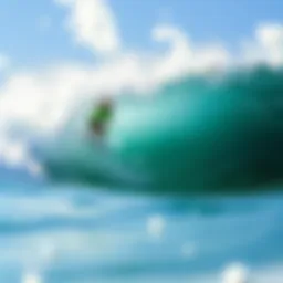 A Comprehensive Exploration of Austin Wave Park Introduction