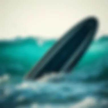 A Comprehensive Exploration of Used Pyzel Surfboards Introduction A Comprehensive Exploration of Used Pyzel Surfboards Introduction