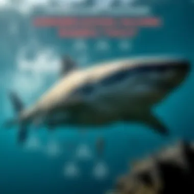 Conservation Challenges Facing Sharks Today A graphic depicting the threats sharks face due to human activities