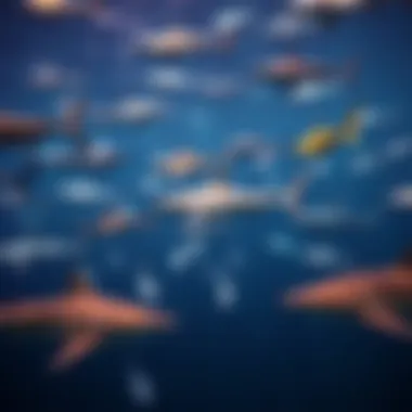 Diversity of Shark Species in Marine Ecosystems A vast underwater scene showcasing various shark species in their natural habitat