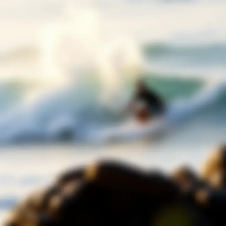 An In-Depth Exploration of Surfers Beach, Puerto Rico Introduction