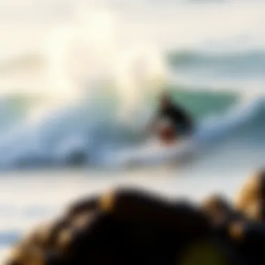 An In-Depth Exploration of Surfers Beach, Puerto Rico Introduction An In-Depth Exploration of Surfers Beach, Puerto Rico Introduction
