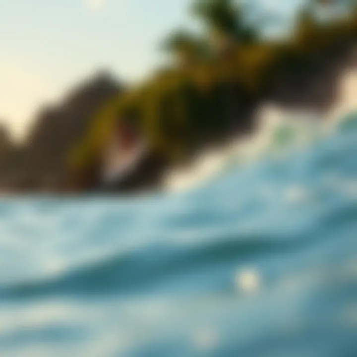 An In-Depth Exploration of Surfers Beach, Puerto Rico Summary