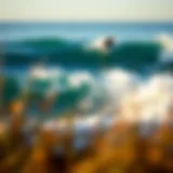 Choosing the Right Surfboard: A Comprehensive Guide Introduction