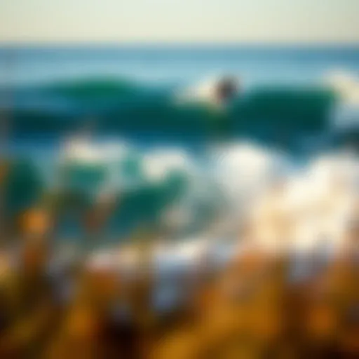 Choosing the Right Surfboard: A Comprehensive Guide Introduction