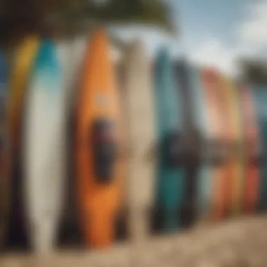 An array of surfboard bags displayed to highlight various materials and colors.