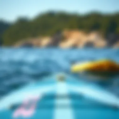 Notable Comprehensive Guide to Stand-Up Paddle Board Types