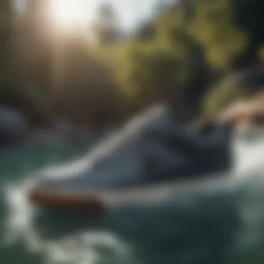 Sleek Design of DC Shoes for Aquatic Activities A pair of DC Shoes designed for water sports, showcasing a sleek and functional design.