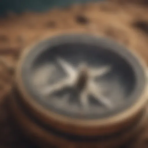 A vintage compass with a vivid background, symbolizing navigation.