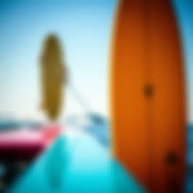 Visualization of rider height and weight impact on longboard choice