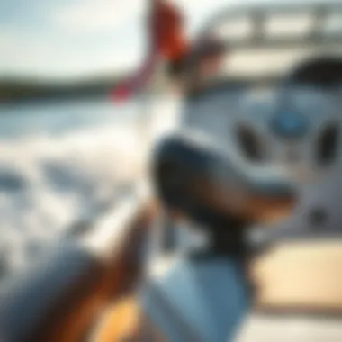 Close-up of ergonomic features on an Easy Cruiser