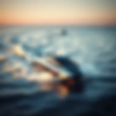 Innovative Design of Easy Cruiser Sleek design of an Easy Cruiser on tranquil waters