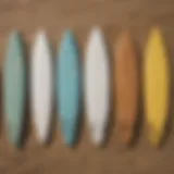 Diverse surfboard types displayed on a beach