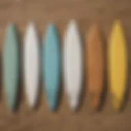 Diverse surfboard types displayed on a beach