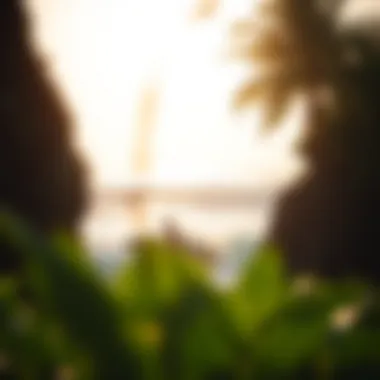 Notable Exploring Affordable Surf Camps in Costa Rica