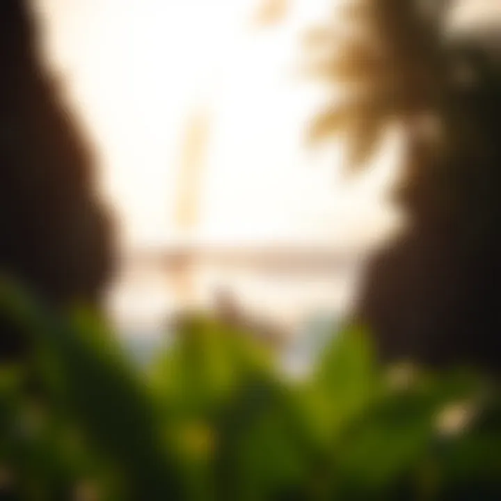 Notable Exploring Affordable Surf Camps in Costa Rica