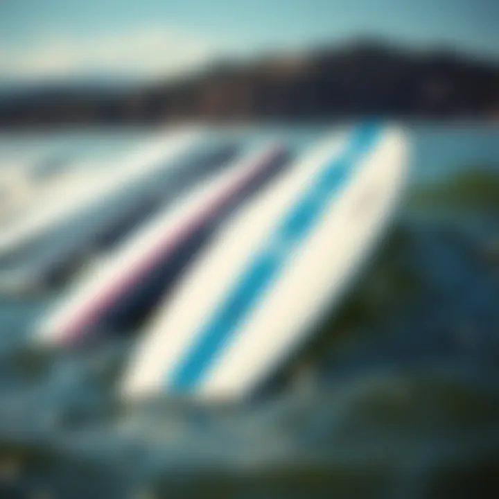 Top Brands of Boogie Boards Top brands of boogie boards displayed