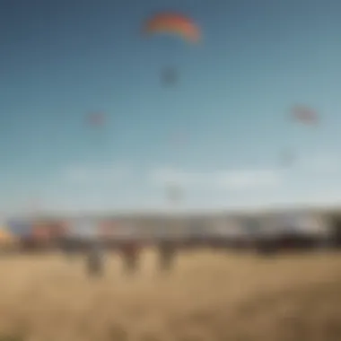 A group of enthusiasts flying large single line kites at a festival.