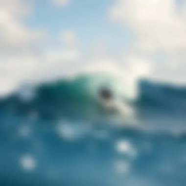 Notable Exploring Maui's Premier Surf Spots