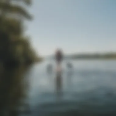 Stand-up paddleboarders navigating the waters near Duck