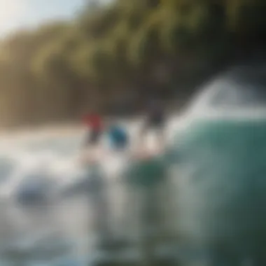 Group of enthusiasts enjoying remote control surfing together