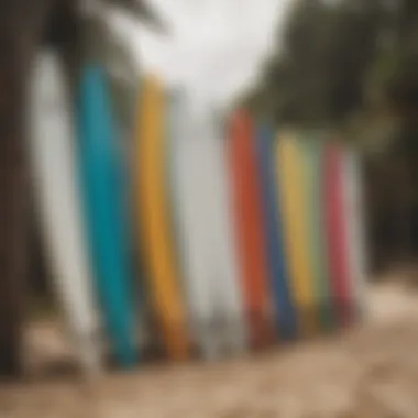 Surfboards lined up on the beach ready for action