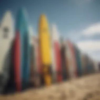 A selection of surfboards showcasing different designs and gear