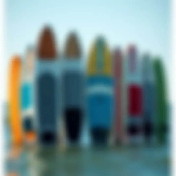 Variety of Paddleboards Different types of stand-up paddleboards lined up for comparison