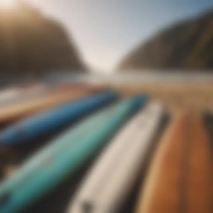 Surfboard rack showcasing a variety of boards