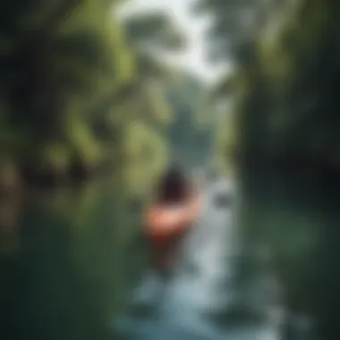 Kayaker navigating calm waters surrounded by lush greenery