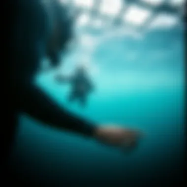 Exploring the Depths: A Comprehensive Guide to Dive n Surf Wetsuits Summary