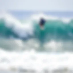 Virtual surfing experience showcasing various wave formations