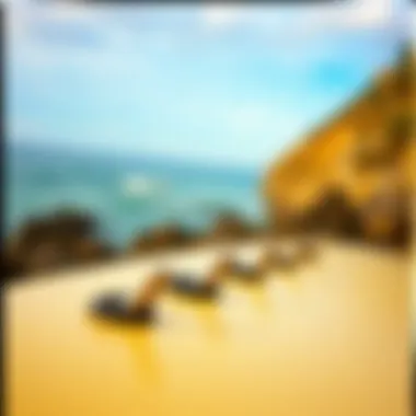 Aesthetic Considerations of Surfboard Hooks Aesthetic surfboard hooks in a coastal environment