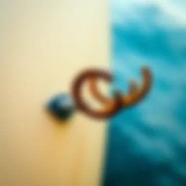 Environmental Impact of Surfboard Hooks Environmental impact of surfboard hooks depicted through eco-friendly materials