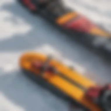 Close-up of kiting equipment laid out on a snowy landscape