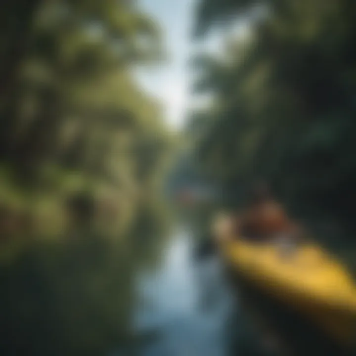 A tranquil scene of kayaking amidst lush greenery