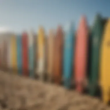 An array of surfboards lined up on the sand, representing various surfing styles and cultures