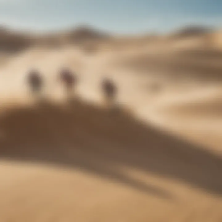 A group of sand surfers riding down a dune