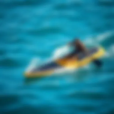 Exploring the World of Small Paddleboards Summary Exploring the World of Small Paddleboards Summary