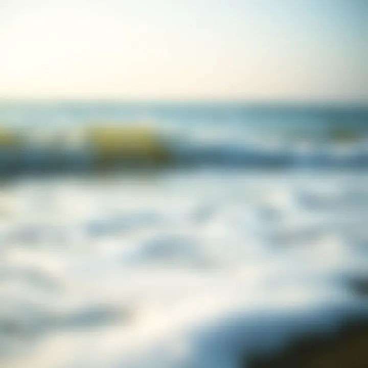 The Serenity of Nature: A Beach's Embrace Tranquil beach scene with gentle waves