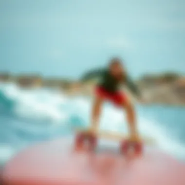 Exploring Various Types of Longboards Summary Exploring Various Types of Longboards Summary