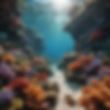 A mesmerizing coral reef bustling with vibrant marine life