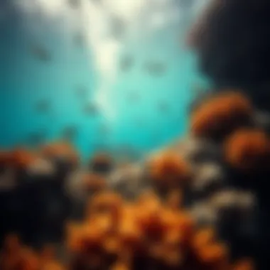 Underwater Life at the Reef A thriving underwater scene featuring various marine species.