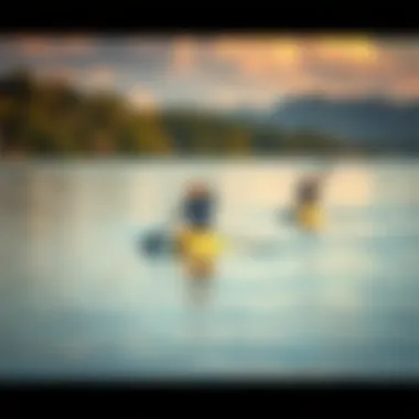 A serene water landscape showcasing paddle boards in motion