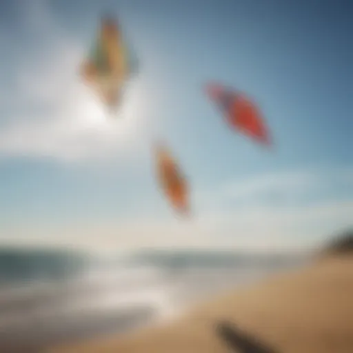 Diverse types of kites displayed on a sunny beach