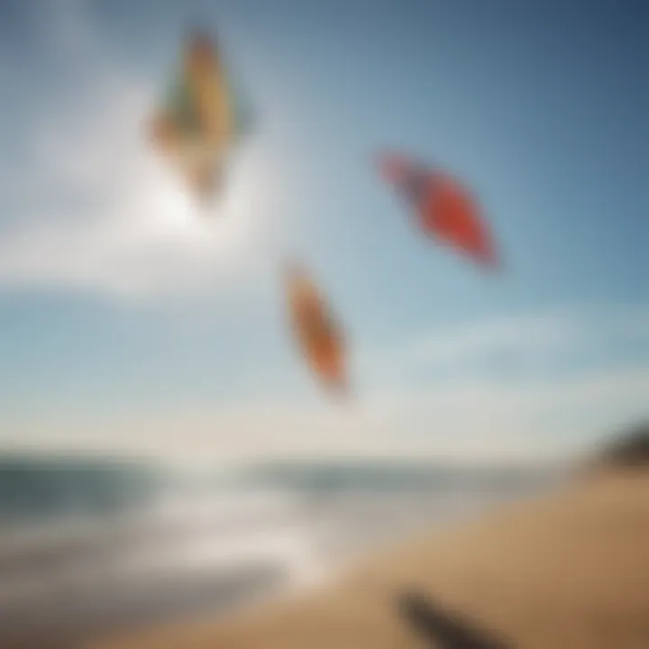 Diverse types of kites displayed on a sunny beach