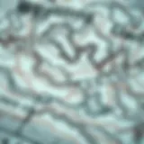 Mastering the Art of Reading Weather Maps for Watersports Introduction